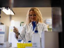 Julie Pendergast, Ph.D.
