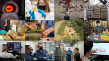 a collage of pictures shows a variety of research at UK from coal related work to agriculture to flooding to concrete and cements