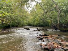 A creek running over rocks surrounded by trees