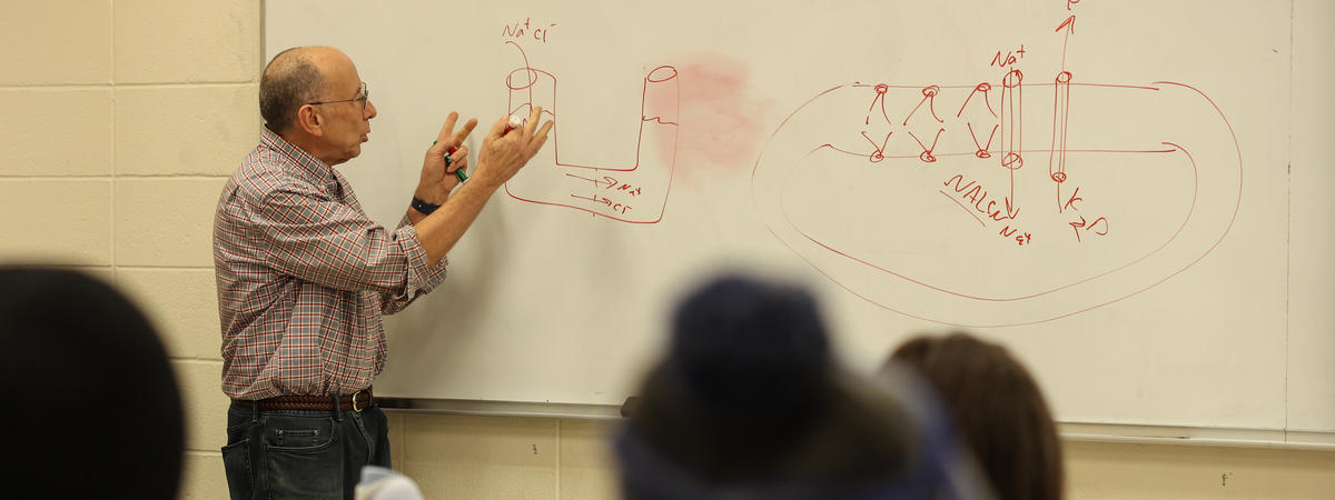 A professor teaches in front of a classroom whiteboard covered with scientific diagrams and notes while students listen from their seats.