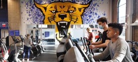4 students work out in front of wildcat mural in Alumni Gym