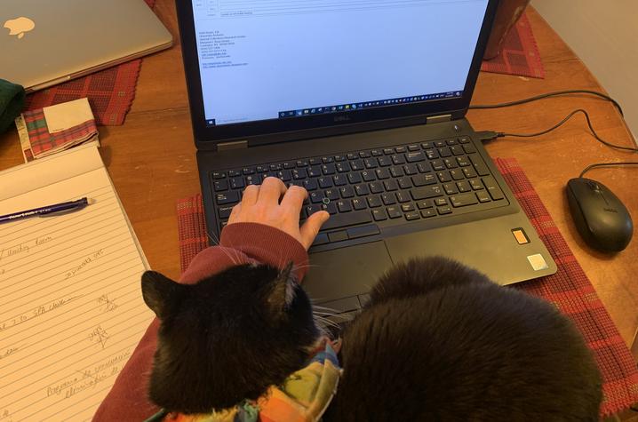 working on a laptop with cat on shoulder - In This Together