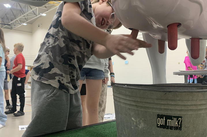  Dairy-focused learning activities 