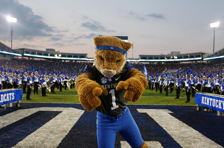 The Wildcat at a football game