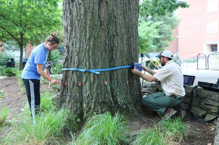 photo of student Taylor Renfro helping Stacy Borden measure a tree