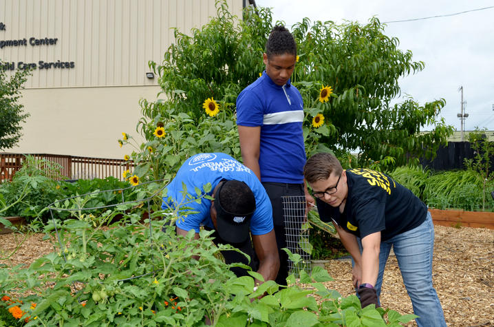 Youth in Garden at UK Cooperative Extension Office in Jefferson County
