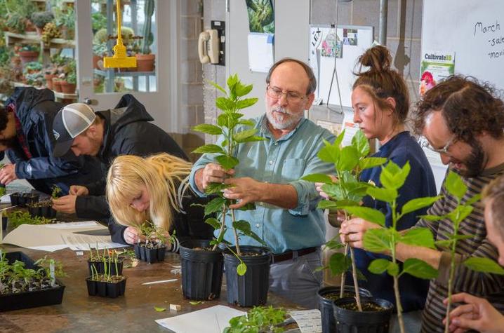 UK horticulture professor Bob Geneve works with students in the greenhouse
