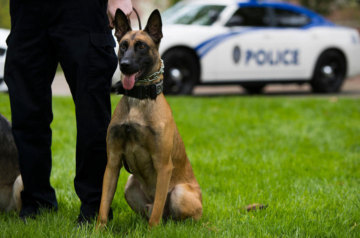 UKPD K9 with handler