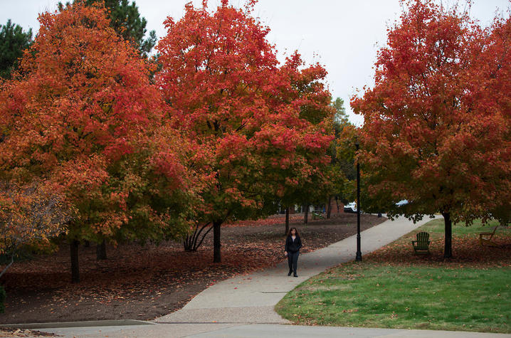 Photo of fall foliage on campus