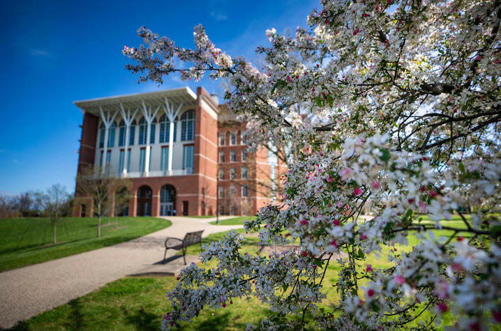 Image of exterior of Young Library with flowering spring tree
