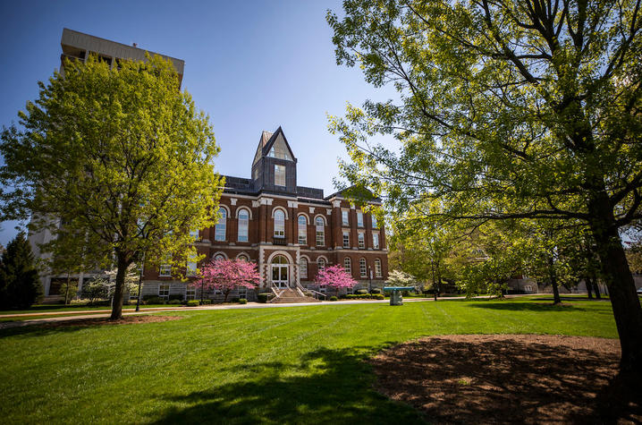 Photos of trees in front of the Main Building on UK's campus.