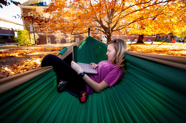 photo of a student looking at laptop while in a hammock on campus