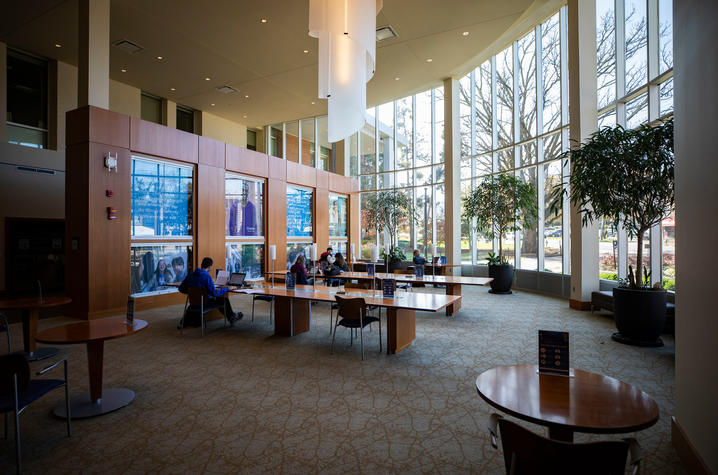 Photo of students studying in the Gatton Student Center