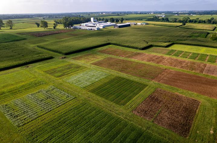 This is a photo of a huge variety of research plots covered the UK Martin-Gatton College of Agriculture Research Farm.