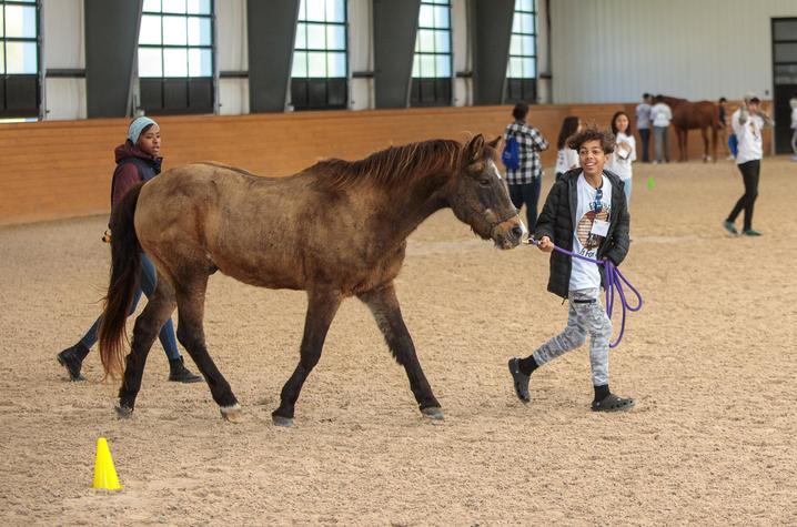 Student leading horse in arena 