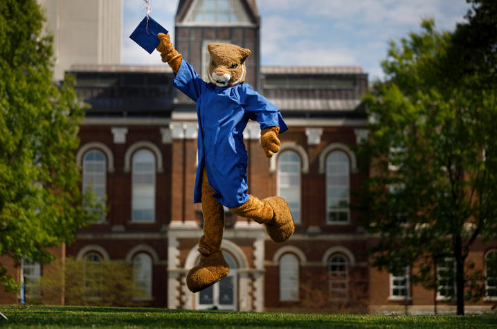 Photo of the Wildcat in Cap and Gown