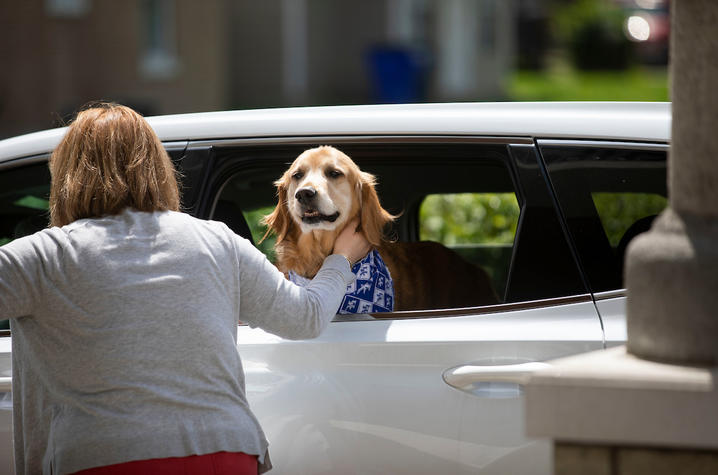 photo of therapy dog in car