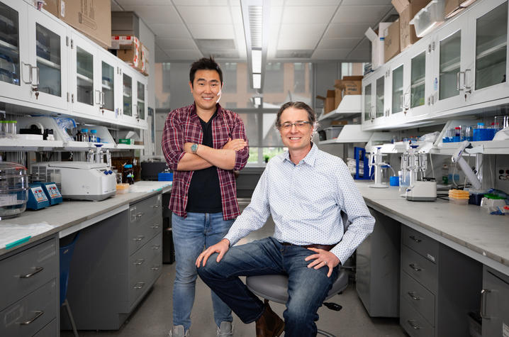 Ramon Sun and Matt Gentry collaborated with other researchers to discover an additional type of sugar in the brain. Photo by Pete Comparoni | UKphoto
