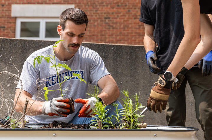 gardening