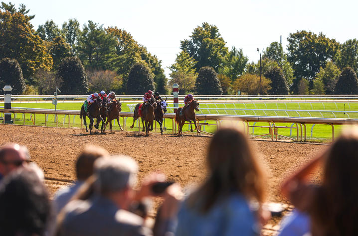 Racehorses and jockeys round a turn on a dirt track while spectators watch from the foreground on a sunny day.