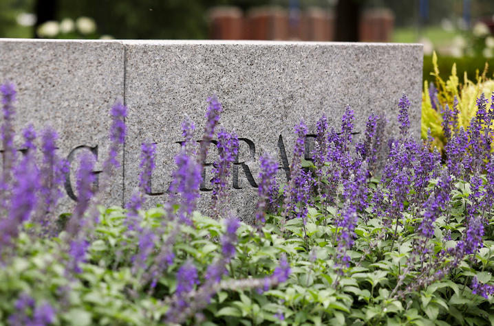 Purple flowering plants partially obscure a stone campus sign, with landscaped greenery and campus buildings blurred in the background.