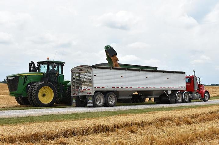 Cyrus Bivens unloads wheat into a semi. Photo by Katie Pratt, UK agricultural communications.