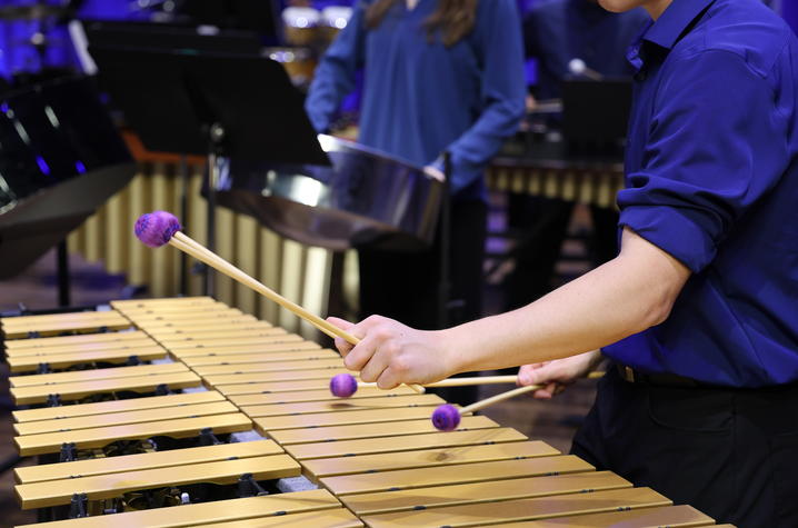 Close-up of hands playing a mallet percussion instrument during a group performance.