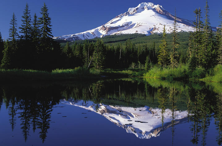 photo of mountain landscape