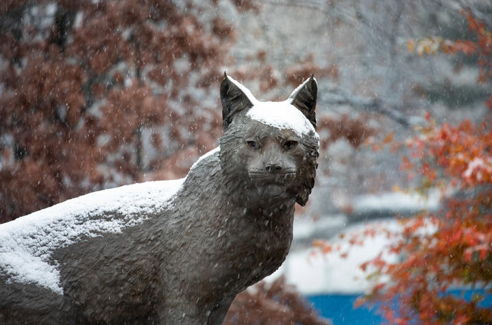 photo of Bowman wildcat statue in Wildcat Alumni Plaza with snow on it