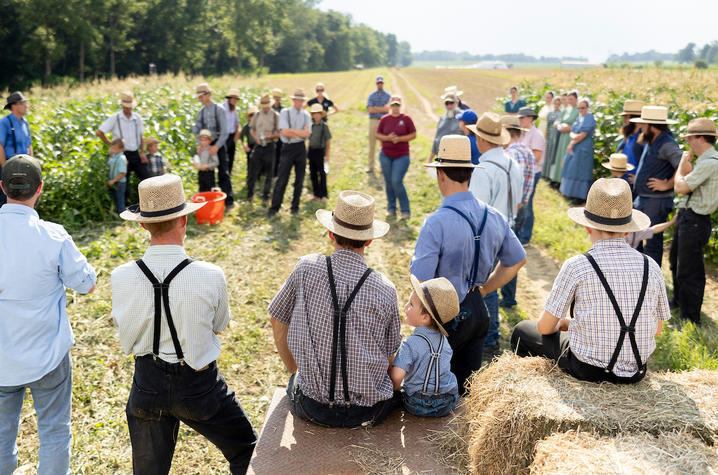 Group of people in a farm field, many wearing straw hats and suspenders, gathered near crops with some seated on hay bales.
