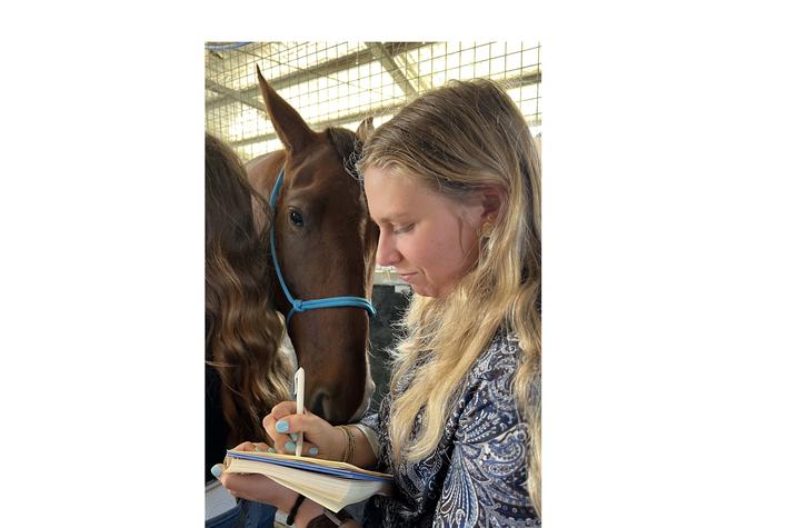 In a stable setting, a person writes notes in a notebook while standing beside a chestnut horse wearing a blue rope halter. The horse closely observes the notebook from over the person’s shoulder. Warm sunlight filters through the barn structure.
