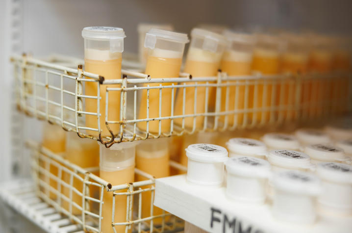 Samples of milk Samples of milk