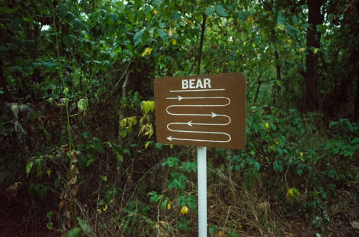 photo of "Bear" sign from "Unreliable Bestiary" series by Deke Weaver
