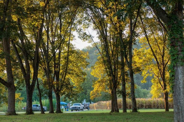 Robinson Center headquarters Robinson Center headquarters