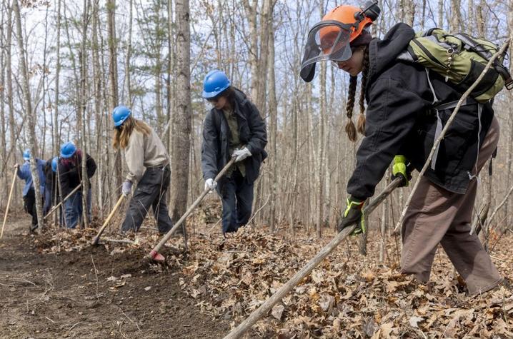 photo of students working together to create a fireline A group of people wearing blue safety helmets work together along a forest trail, using long‑handled tools to clear leaves and debris from the ground