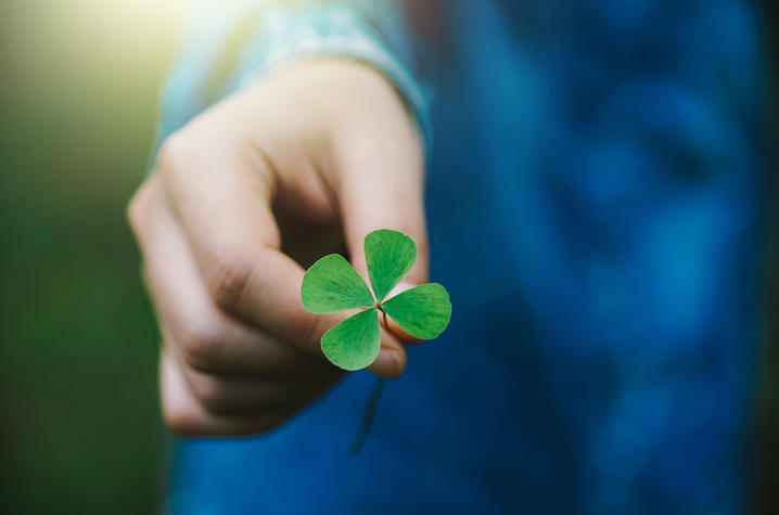 Getty Image of Person Holding a Shamrock