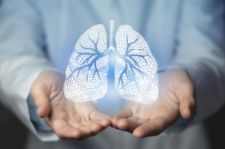 An illustration of lungs 