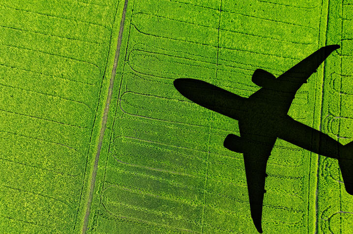 Shadow airplane flying above green field