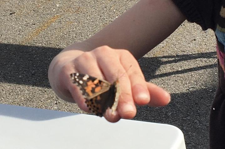 image of butterfly on child's hand