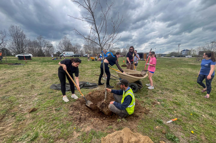 UK awarded Tree Campus Higher Education honor for 15th consecutive year