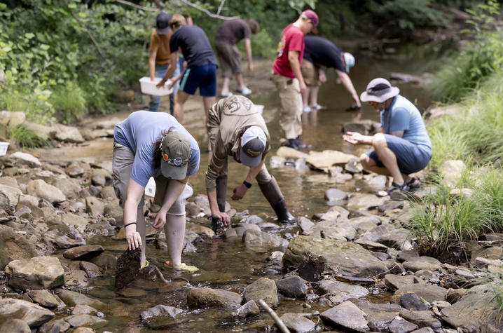 photo of students exploring the waterway A group of people stands and kneels in a shallow, rocky stream surrounded by dense green vegetation. Several participants examine rocks and water, while others carry collection trays or containers. Sunlight filters through the trees.