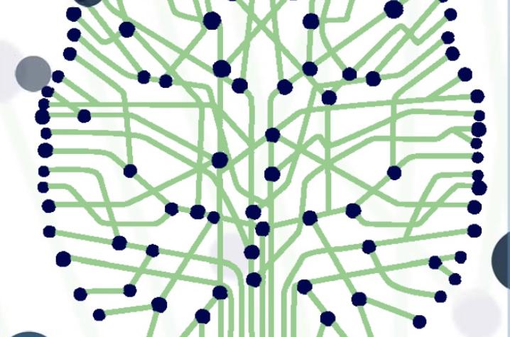 Practical Update in Neurology and Neurosurgery 2018