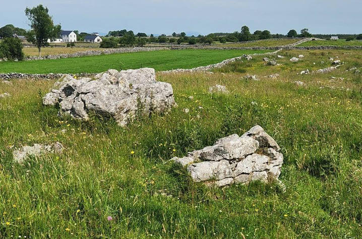 Grassy karst landscape with large limestone rocks scattered across a wildflower-filled field. Low stone walls divide bright green pastures that stretch into the distance, with a few houses and trees visible on the horizon under a pale blue sky. 
