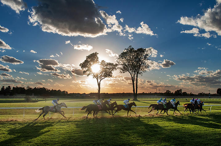 photo of horses running at Keeneland racetrack