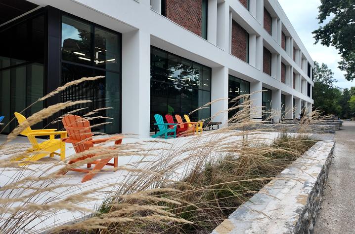 Colorful outdoor chairs line a patio beside a modern building, with ornamental grasses in the foreground and a walkway along the side.