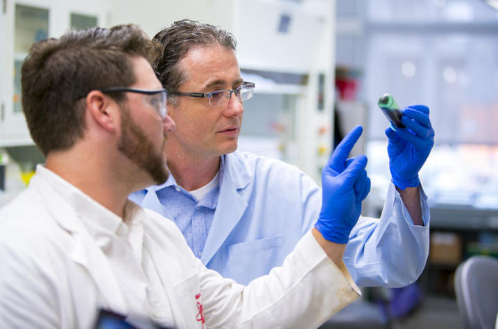 Photo of Dr. Matthew Gentry in his lab