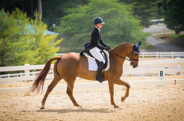 photo of UK Eventing's Cosby Green and Copper Beach ride in CCI3*-L at USEA Intercollegiate Eventing Championship