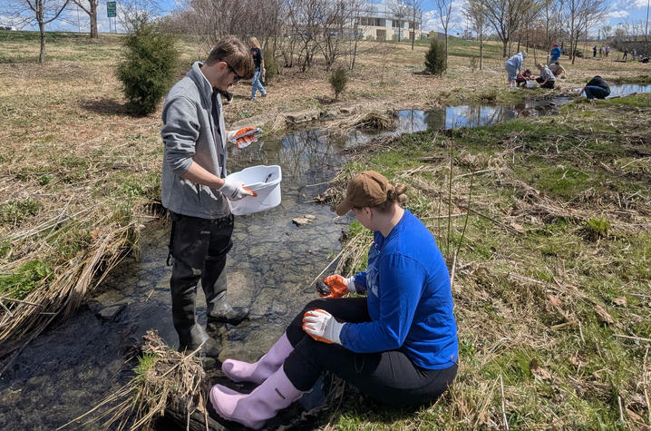 Two students wading in water at a previous Water Week Bioblitz at the Alumni Drive/Nicholasville Road stream restoration site stream