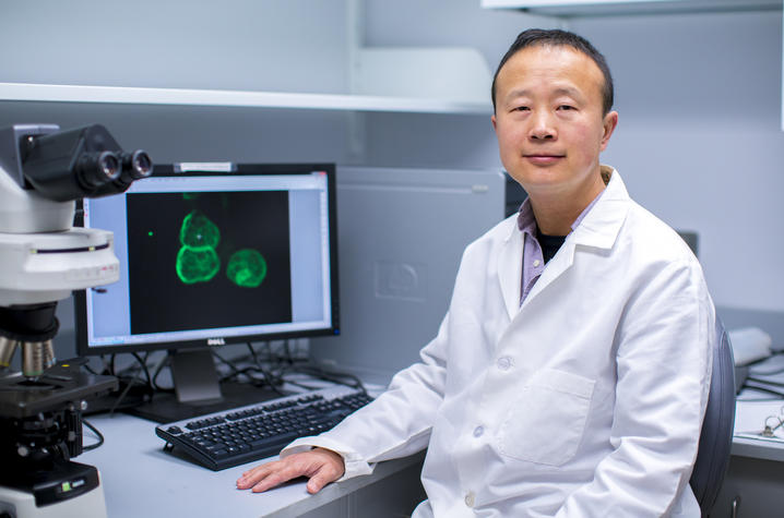 Ren Xu