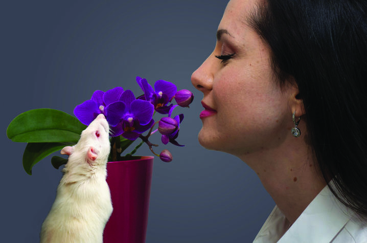 Photo of a rat and a woman smelling a flower